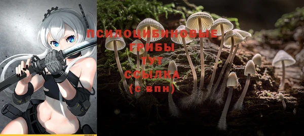 mix Алексеевка