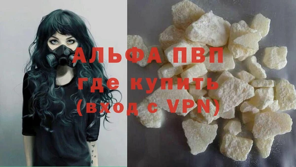 индика Покров