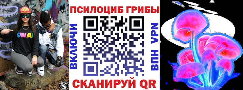 Псилоцибиновые грибы Psilocybe  Карачаевск 