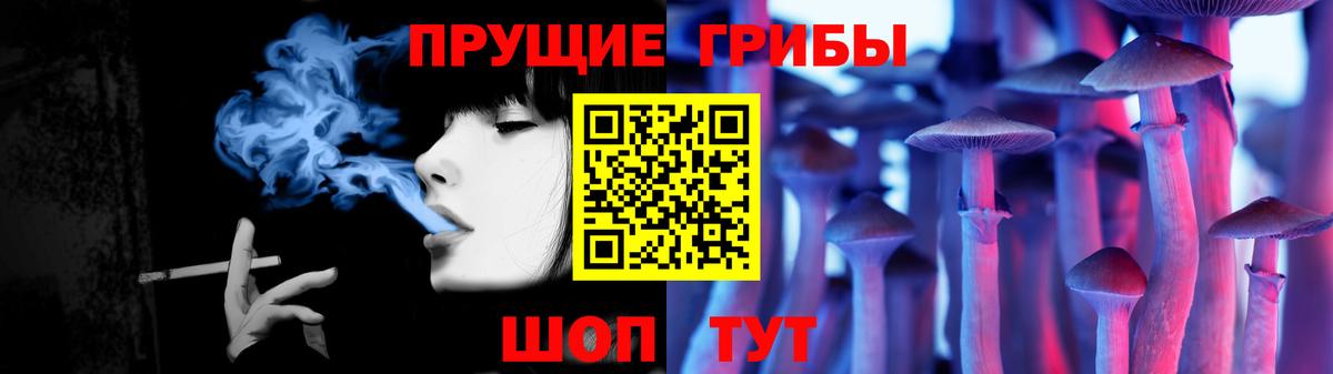 Карачаевск  Галлюциногенные грибы Psilocybine cubensis  Вход с VPN 