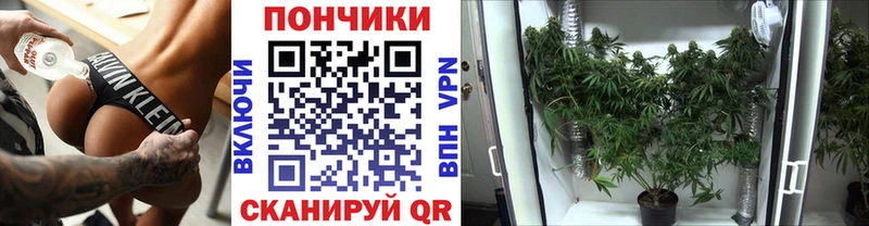МАРИХУАНА THC 21%  дарнет шоп  Карачаевск 